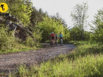 TZ Perušić gri3138-ink