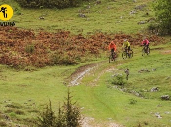 TZ Perušić gri3865-ink