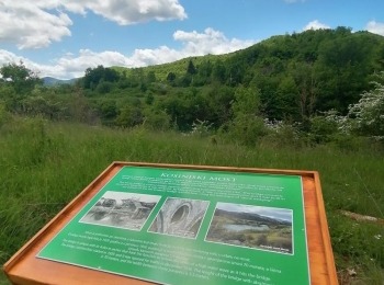 TZ PerušićImg 20210525 114752 (1)