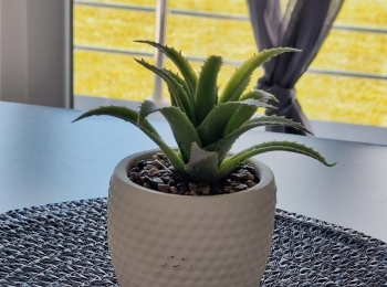 TZ Perušić1712729125244