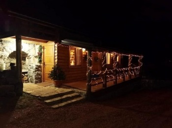 TZ PerušićImage1 (1)