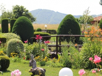 TZ Perušić481148817