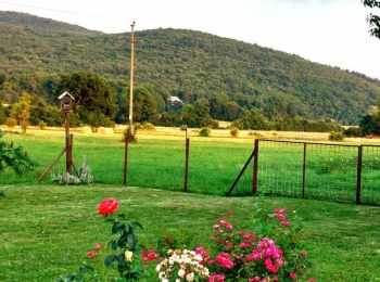 TZ PerušićImg-20250624-wa0007 (1)