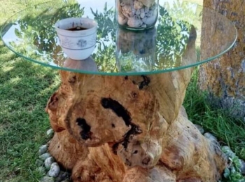 TZ PerušićImg-20250624-wa0011