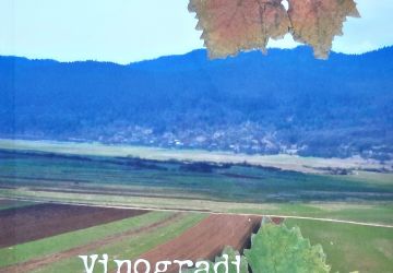 KNJIGA “VINOGRADI U KOSINJU”