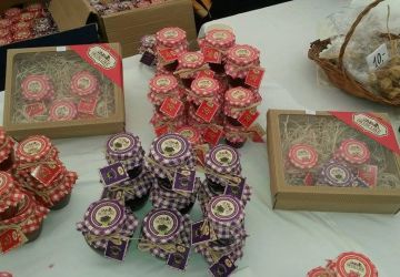 Digitalni katalog seoskog turizma