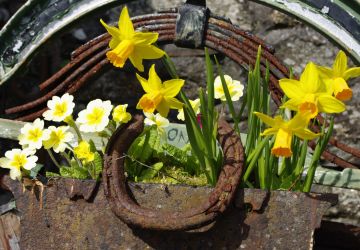 PRIJAVE ZA NAJLJEPŠU OKUĆNICU U PERUŠIĆU